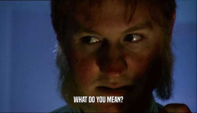 WHAT DO YOU MEAN?  