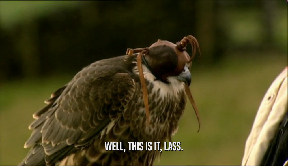WELL, THIS IS IT, LASS.  