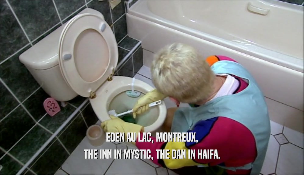 EDEN AU LAC, MONTREUX, THE INN IN MYSTIC, THE DAN IN HAIFA. 