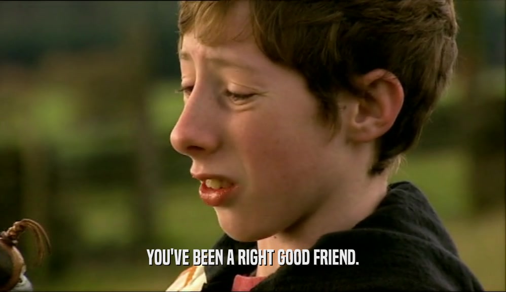 YOU'VE BEEN A RIGHT GOOD FRIEND.  