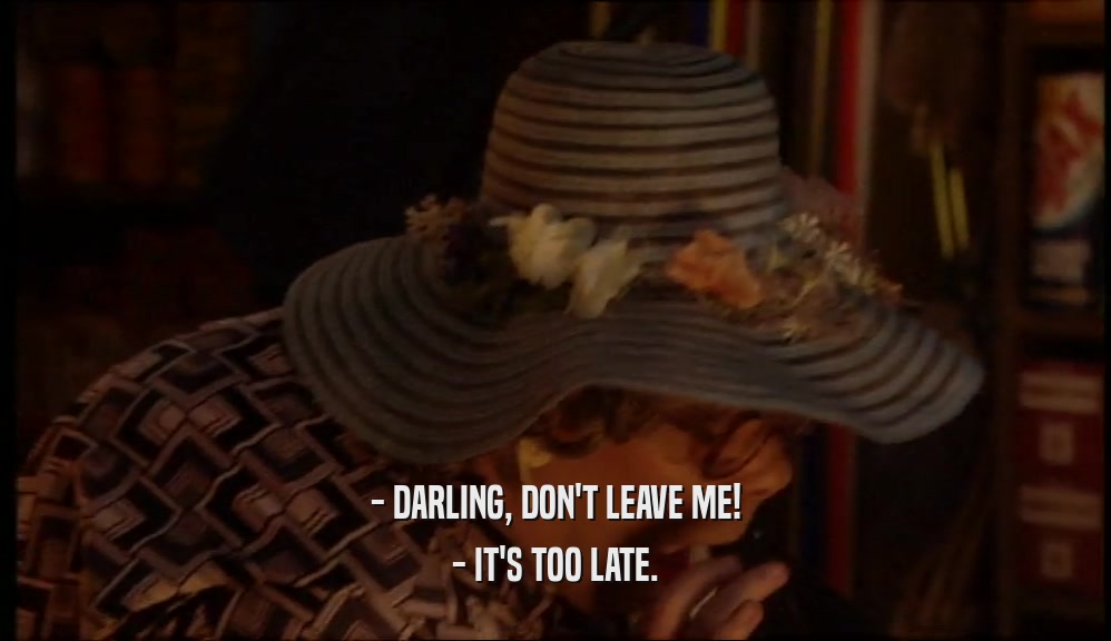 - DARLING, DON'T LEAVE ME!
 - IT'S TOO LATE.
 