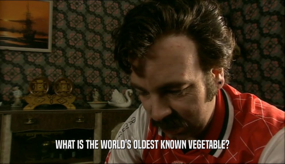 WHAT IS THE WORLD'S OLDEST KNOWN VEGETABLE?  
