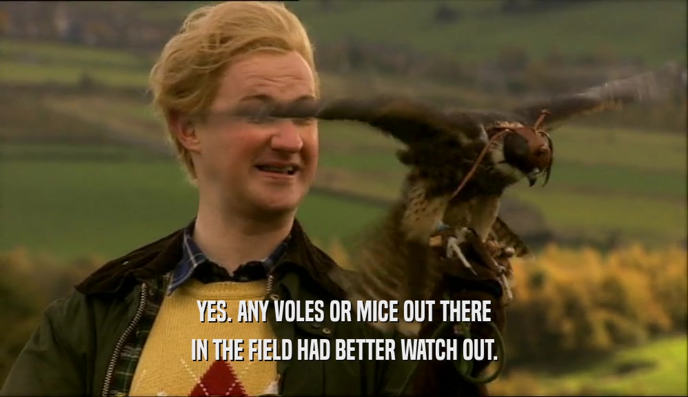 YES. ANY VOLES OR MICE OUT THERE IN THE FIELD HAD BETTER WATCH OUT. 