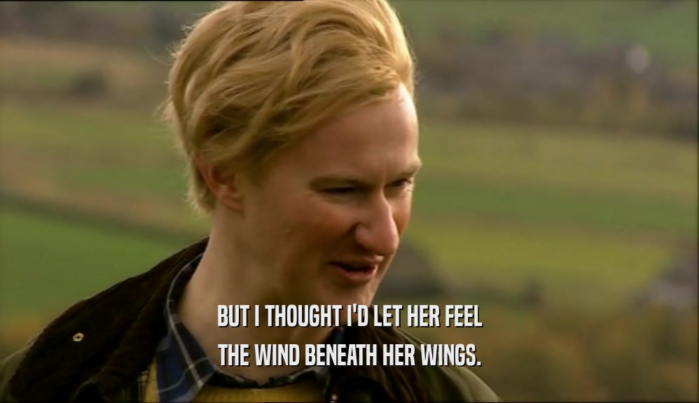 BUT I THOUGHT I'D LET HER FEEL THE WIND BENEATH HER WINGS. 