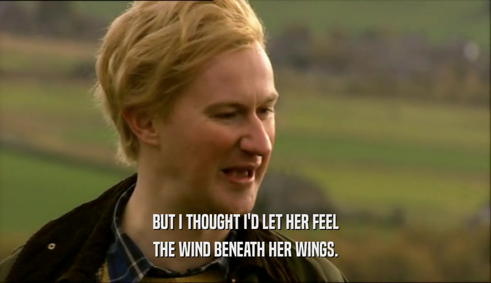 BUT I THOUGHT I'D LET HER FEEL THE WIND BENEATH HER WINGS. 