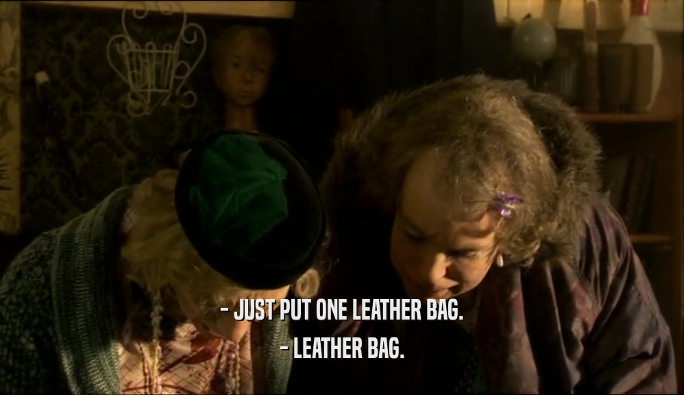 - JUST PUT ONE LEATHER BAG.
 - LEATHER BAG.
 