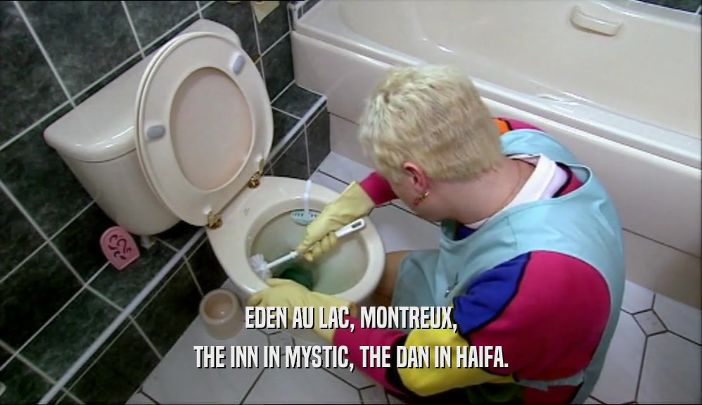 EDEN AU LAC, MONTREUX, THE INN IN MYSTIC, THE DAN IN HAIFA. 