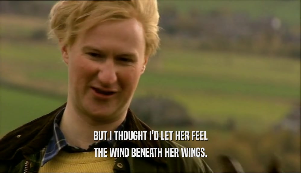 BUT I THOUGHT I'D LET HER FEEL THE WIND BENEATH HER WINGS. 