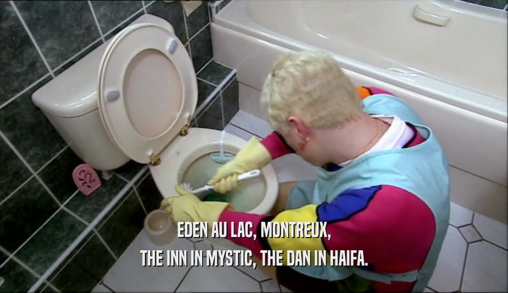 EDEN AU LAC, MONTREUX, THE INN IN MYSTIC, THE DAN IN HAIFA. 