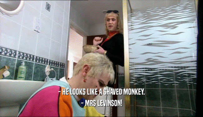 - HE LOOKS LIKE A SHAVED MONKEY.
 - MRS LEVINSON!
 