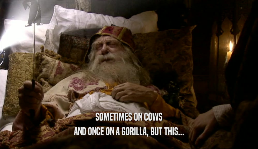 SOMETIMES ON COWS AND ONCE ON A GORILLA, BUT THIS... 