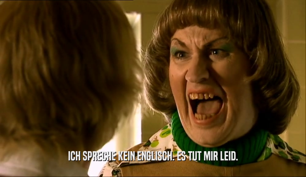 ICH SPRECHE KEIN ENGLISCH. ES TUT MIR LEID.  