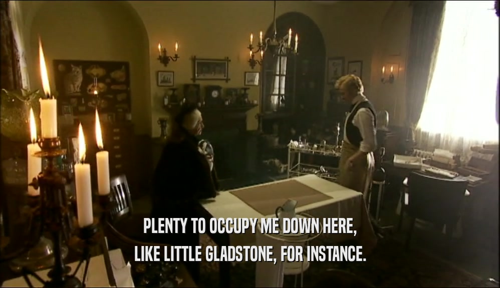PLENTY TO OCCUPY ME DOWN HERE, LIKE LITTLE GLADSTONE, FOR INSTANCE. 