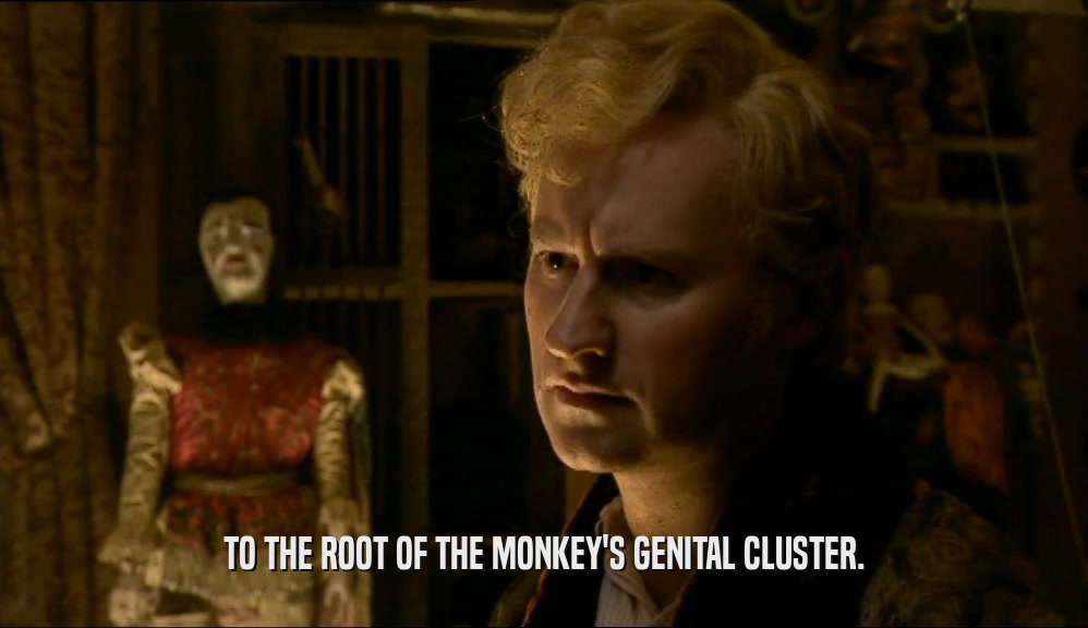 TO THE ROOT OF THE MONKEY'S GENITAL CLUSTER.
  