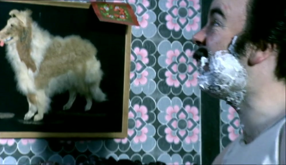 A PHOTOGRAPHIC LIKENESS OF HIS FACE.  