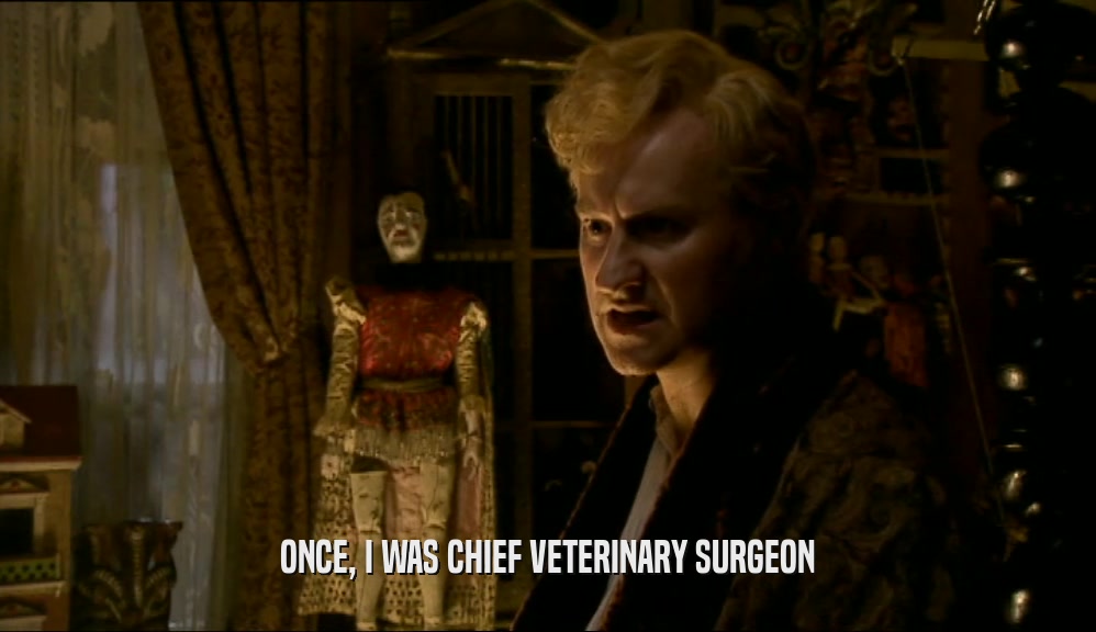 ONCE, I WAS CHIEF VETERINARY SURGEON  