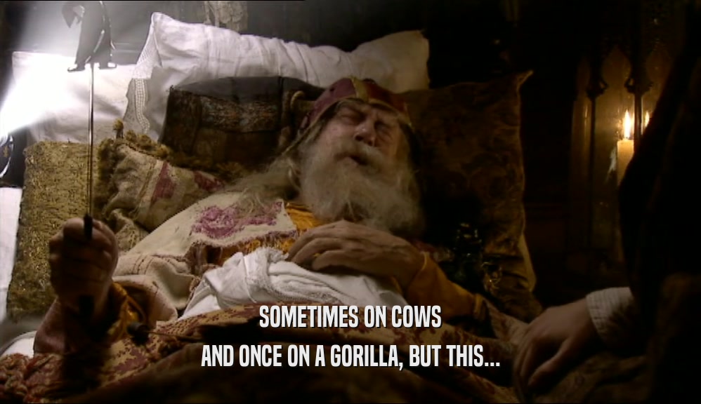 SOMETIMES ON COWS AND ONCE ON A GORILLA, BUT THIS... 