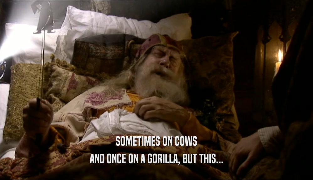 SOMETIMES ON COWS AND ONCE ON A GORILLA, BUT THIS... 