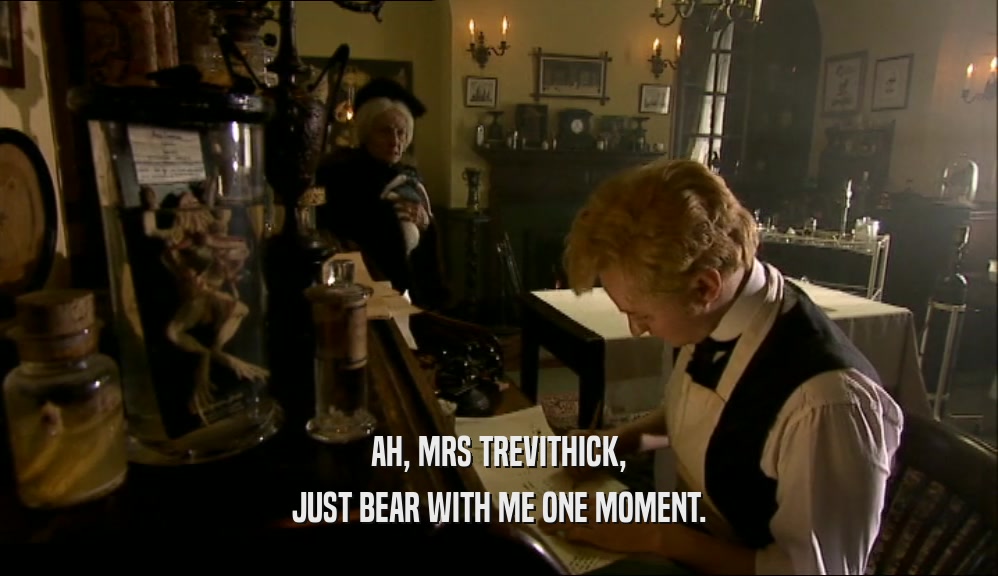 AH, MRS TREVITHICK, JUST BEAR WITH ME ONE MOMENT. 