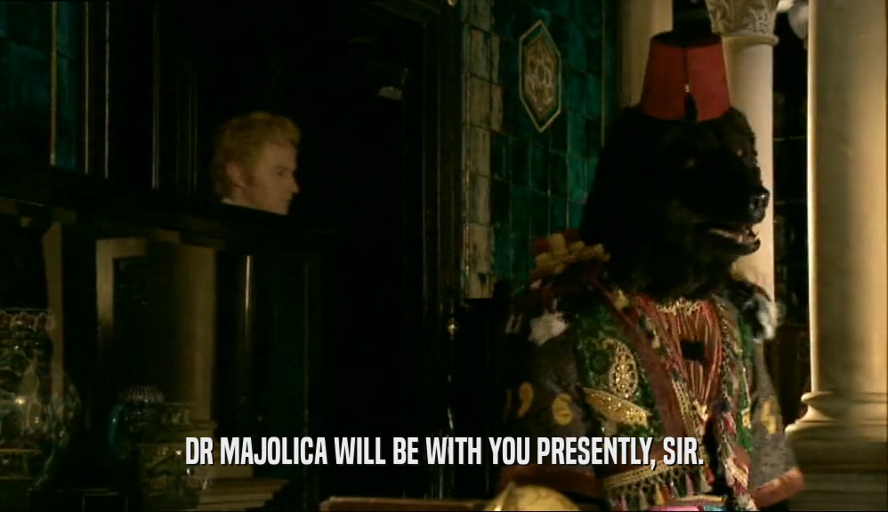DR MAJOLICA WILL BE WITH YOU PRESENTLY, SIR.  