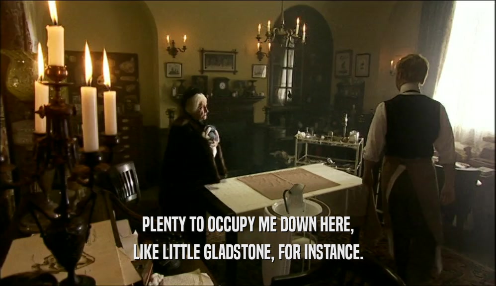 PLENTY TO OCCUPY ME DOWN HERE,
 LIKE LITTLE GLADSTONE, FOR INSTANCE.
 