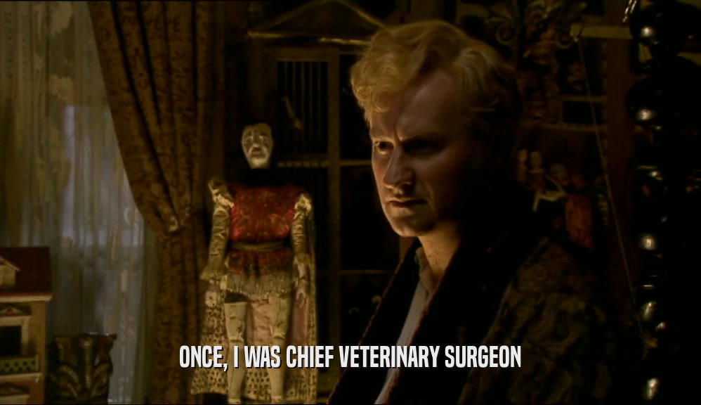 ONCE, I WAS CHIEF VETERINARY SURGEON  