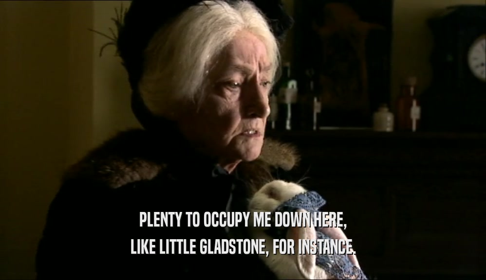PLENTY TO OCCUPY ME DOWN HERE,
 LIKE LITTLE GLADSTONE, FOR INSTANCE.
 