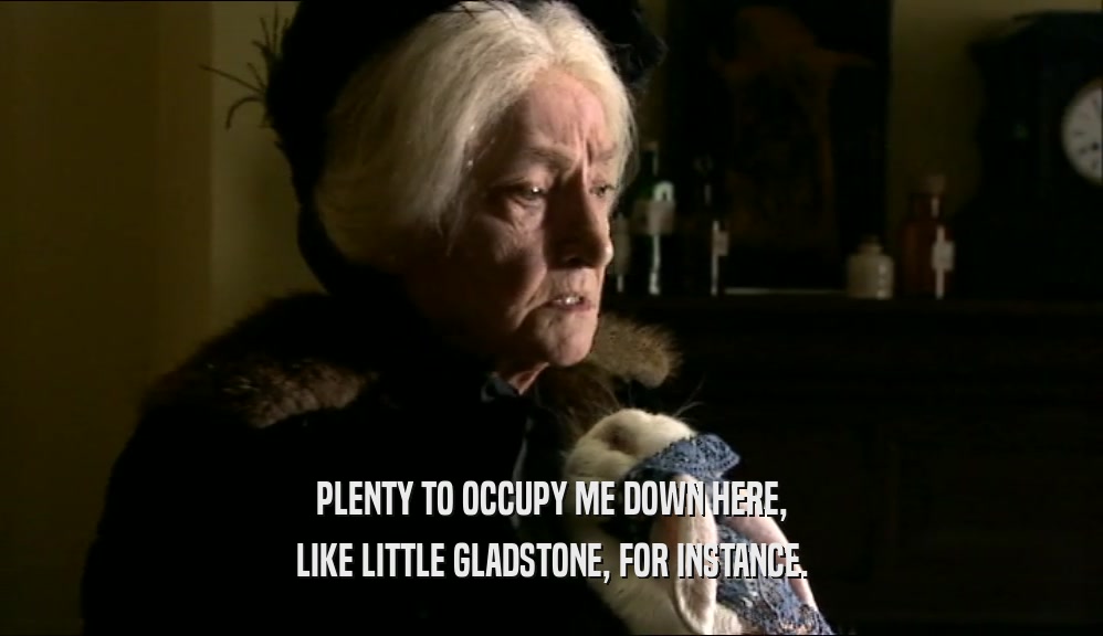 PLENTY TO OCCUPY ME DOWN HERE, LIKE LITTLE GLADSTONE, FOR INSTANCE. 