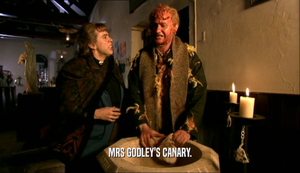 MRS GODLEY'S CANARY.  