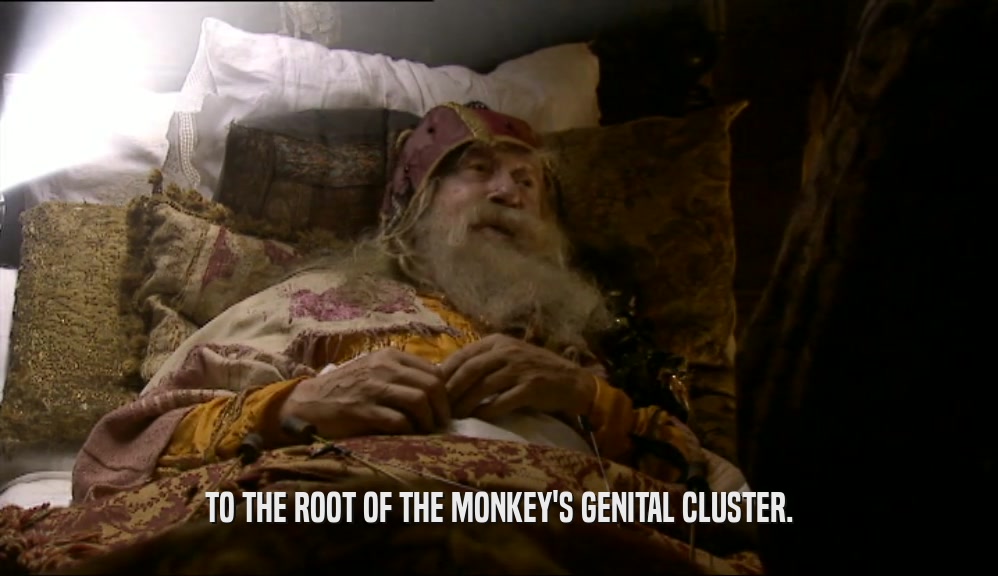 TO THE ROOT OF THE MONKEY'S GENITAL CLUSTER.  