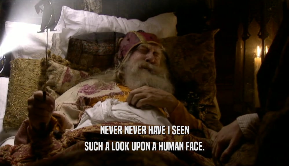 NEVER NEVER HAVE I SEEN SUCH A LOOK UPON A HUMAN FACE. 