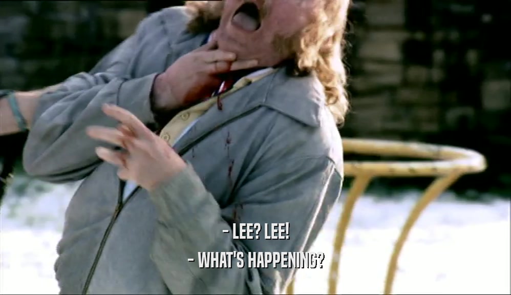 - LEE? LEE! - WHAT'S HAPPENING? 
