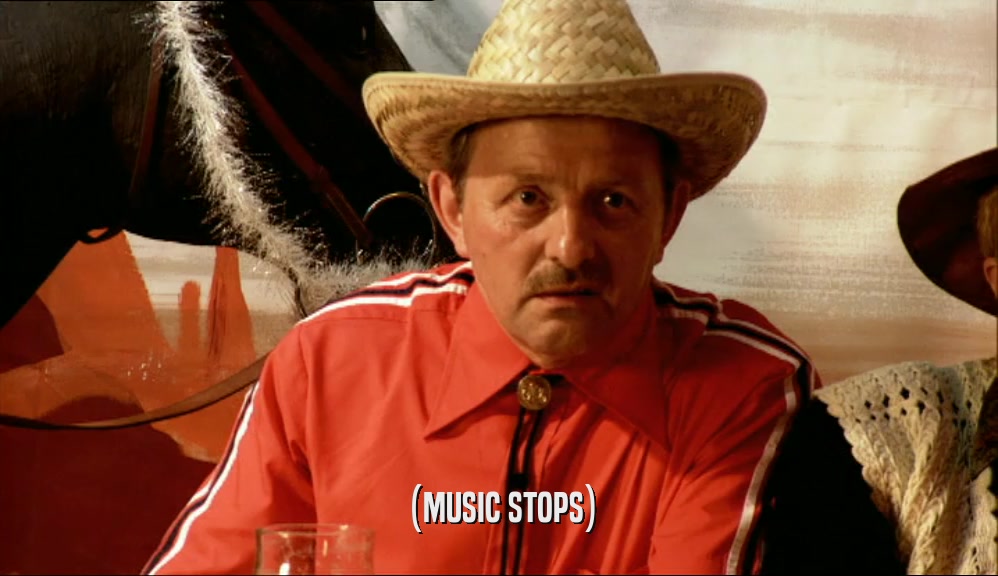 (MUSIC STOPS)  