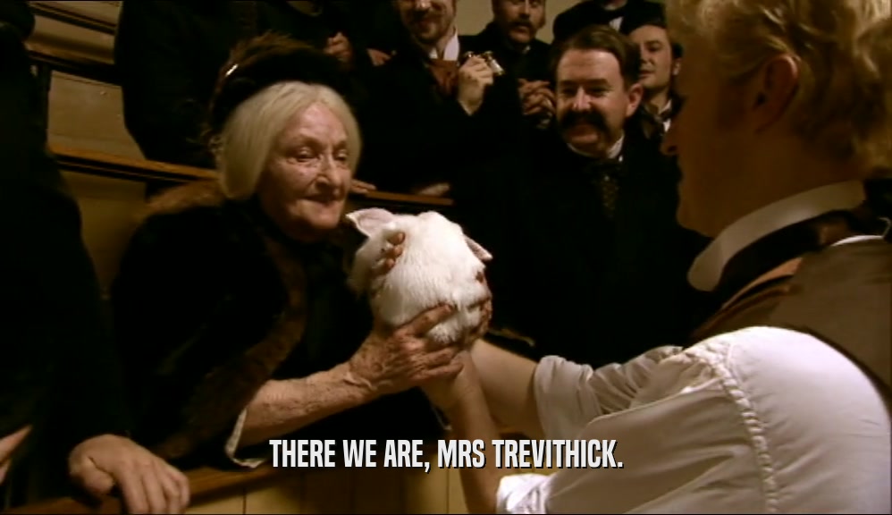 THERE WE ARE, MRS TREVITHICK.
  