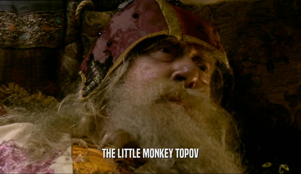 THE LITTLE MONKEY TOPOV  