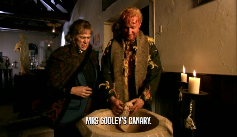 MRS GODLEY'S CANARY.  