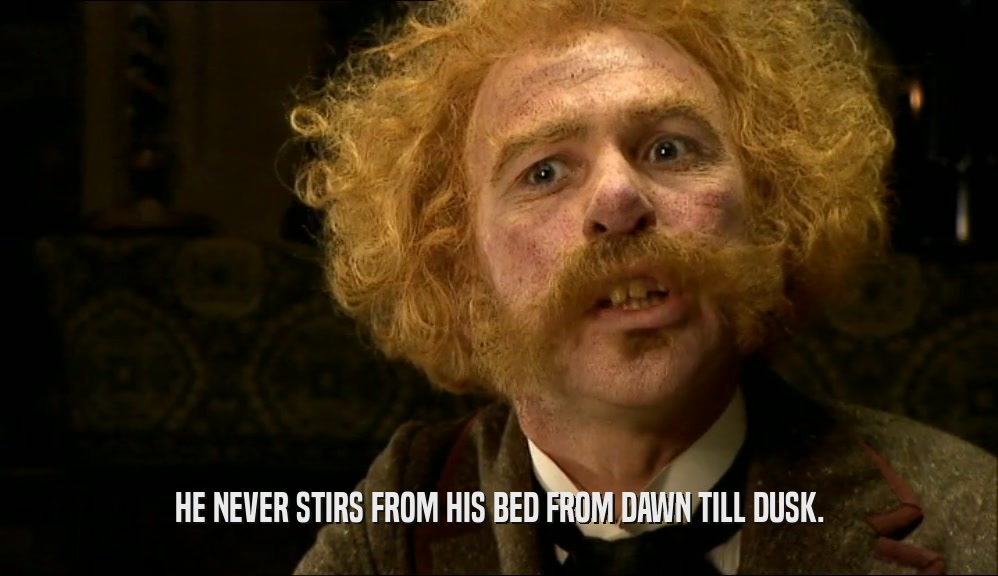 HE NEVER STIRS FROM HIS BED FROM DAWN TILL DUSK.  