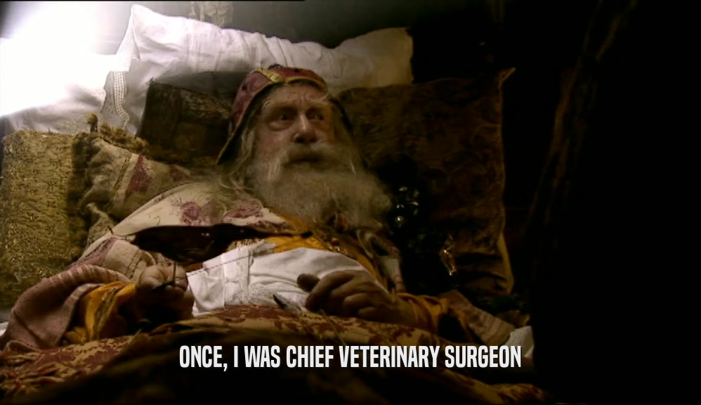 ONCE, I WAS CHIEF VETERINARY SURGEON  