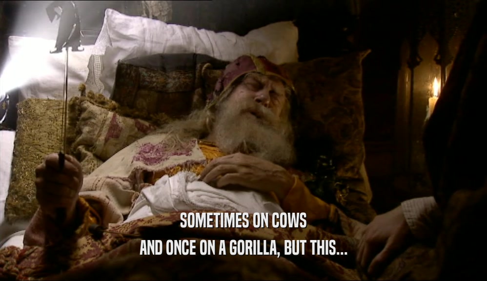SOMETIMES ON COWS AND ONCE ON A GORILLA, BUT THIS... 