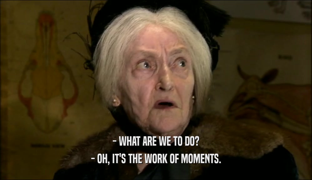 - WHAT ARE WE TO DO? - OH, IT'S THE WORK OF MOMENTS. 