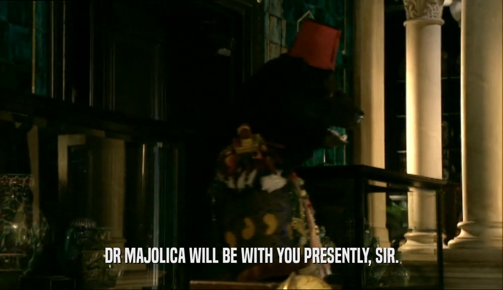 DR MAJOLICA WILL BE WITH YOU PRESENTLY, SIR.  
