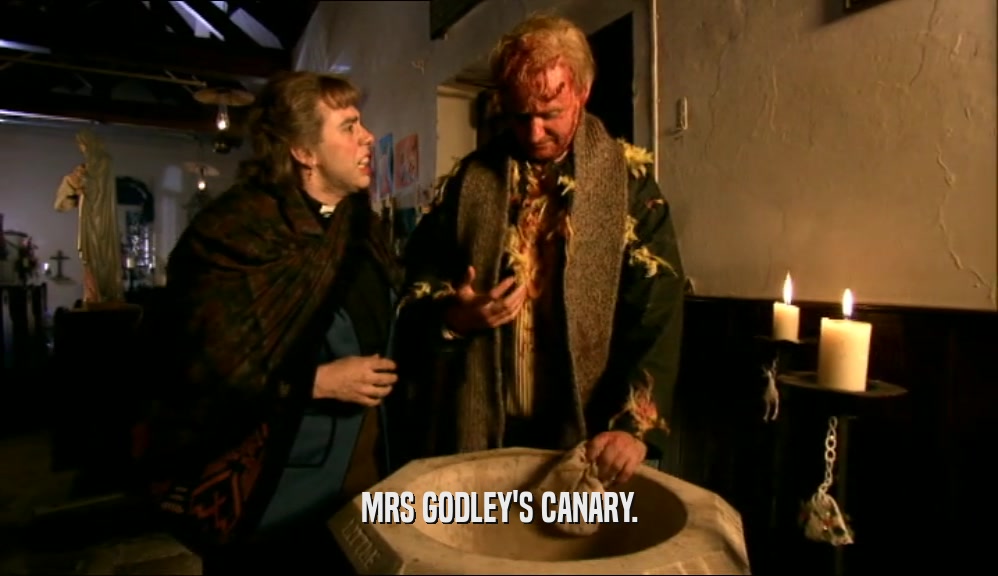 MRS GODLEY'S CANARY.  
