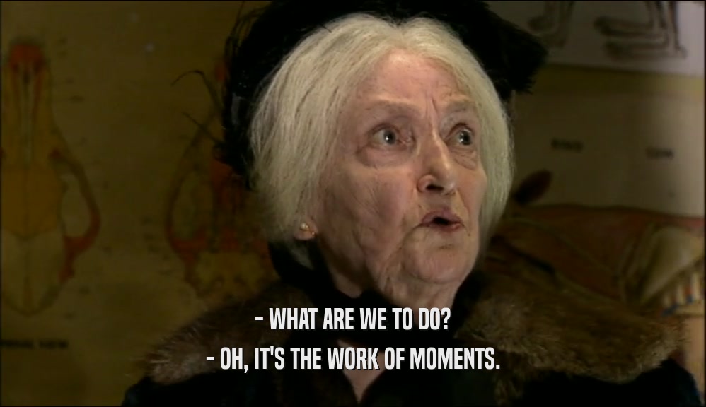 - WHAT ARE WE TO DO? - OH, IT'S THE WORK OF MOMENTS. 