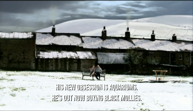 HIS NEW OBSESSION IS AQUARIUMS. HE'S OUT NOW BUYING BLACK MOLLIES. 