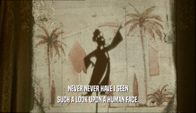 NEVER NEVER HAVE I SEEN SUCH A LOOK UPON A HUMAN FACE. 