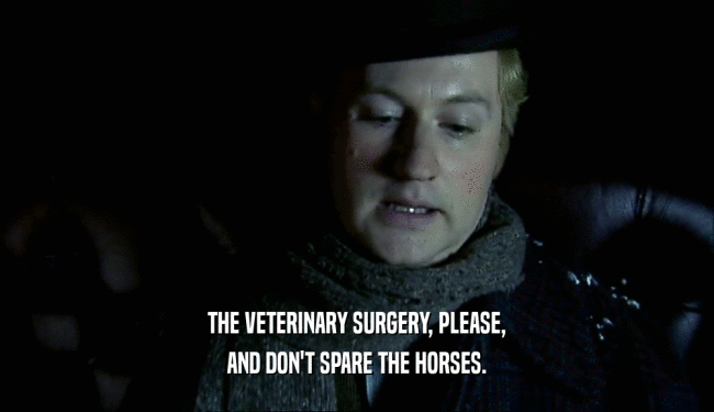 THE VETERINARY SURGERY, PLEASE,
 AND DON'T SPARE THE HORSES.
 
