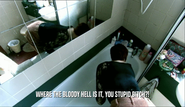 WHERE THE BLOODY HELL IS IT, YOU STUPID BITCH?!  