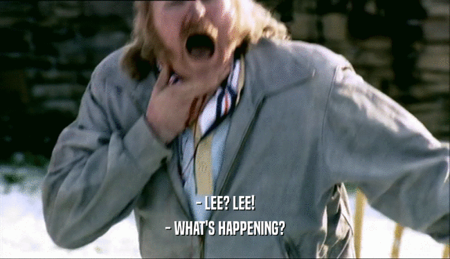 - LEE? LEE! - WHAT'S HAPPENING? 