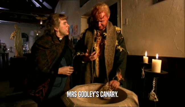 MRS GODLEY'S CANARY.  