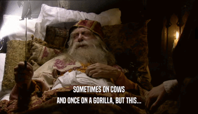SOMETIMES ON COWS AND ONCE ON A GORILLA, BUT THIS... 